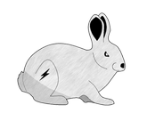 Błyskawica Królik Polski